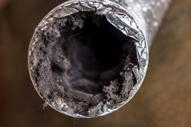 Best HVAC Duct Inspection Services  in Grifton, NC