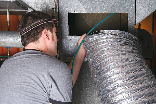 Best Dryer Vent Cleaning Services  in Grifton, NC